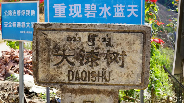 汉文傣文拼音并用的大漆树路牌